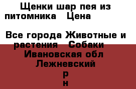 Щенки шар-пея из питомника › Цена ­ 15 000 - Все города Животные и растения » Собаки   . Ивановская обл.,Лежневский р-н